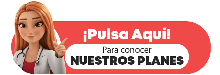 Descripción de la imagen